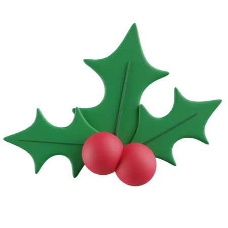 Mistletoe 3D Icon