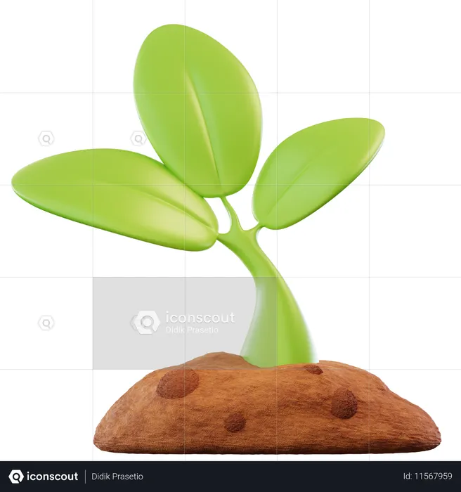 植物  3D Icon