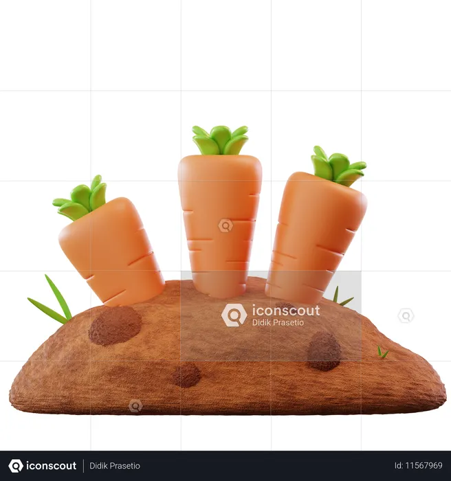 ニンジン栽培  3D Icon