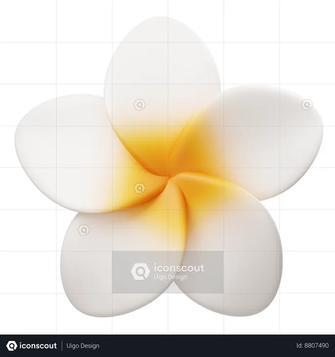 프랜지파니 꽃  3D Icon