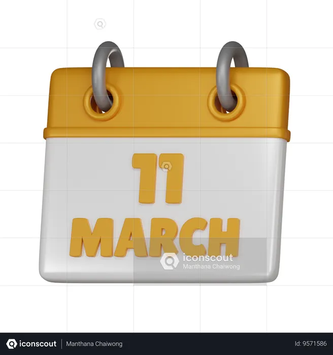 11 March  3D Icon