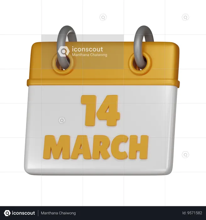 14 March  3D Icon