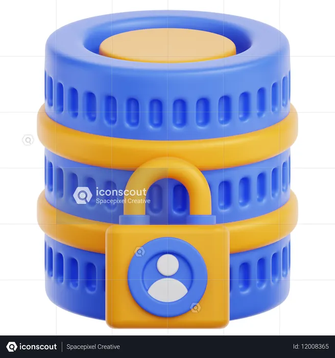 Accès aux données  3D Icon