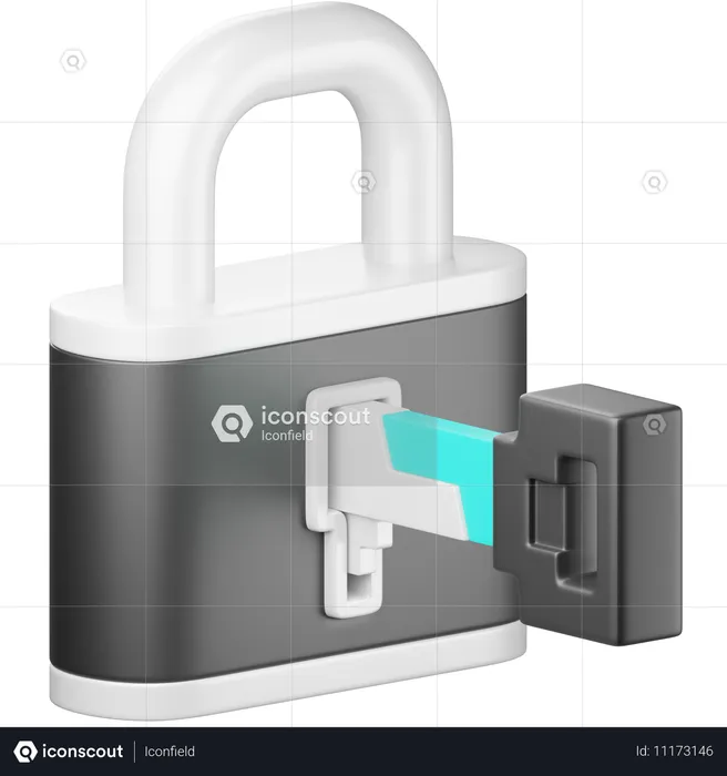 Access Key  3D Icon