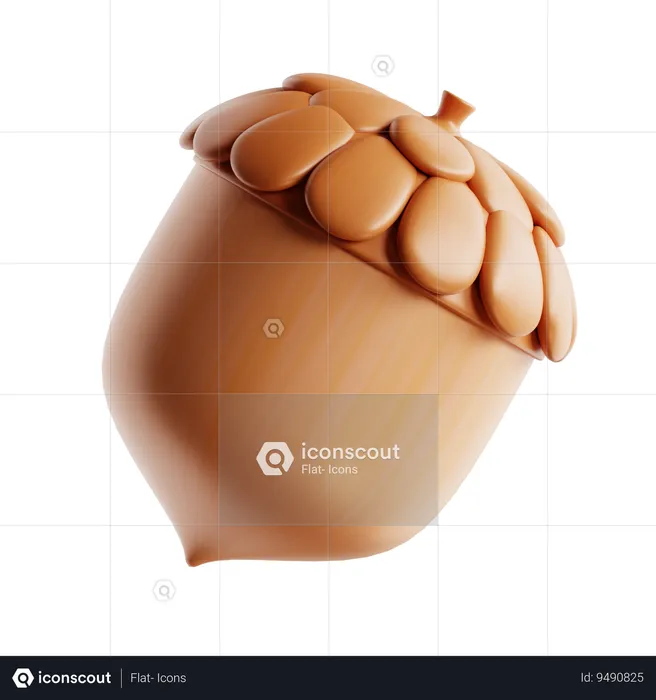 Acorn  3D Icon