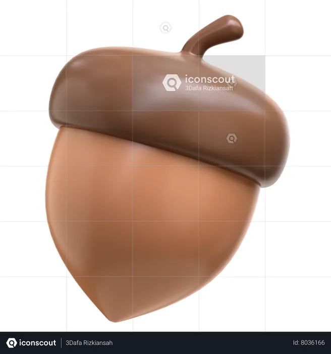 Acorn  3D Icon