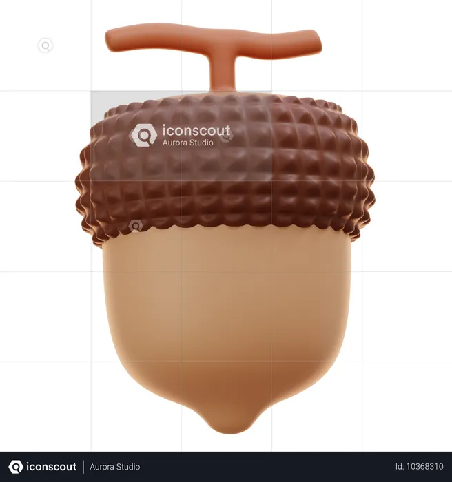 Acorn Nut  3D Icon