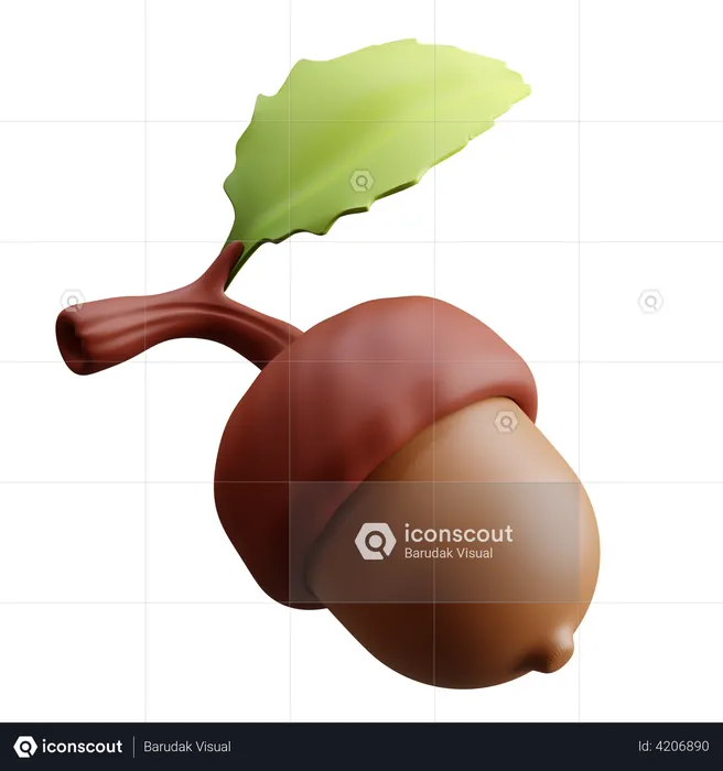 Acorn Nut  3D Illustration