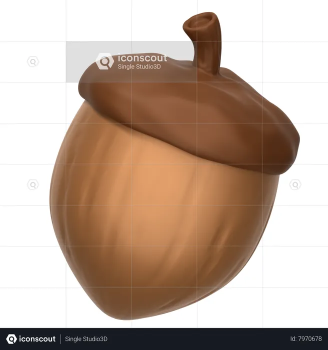 Acorn Nut  3D Icon