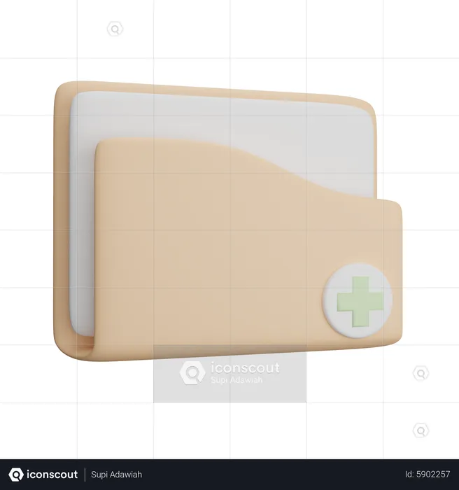 Folder Positif  3D Icon