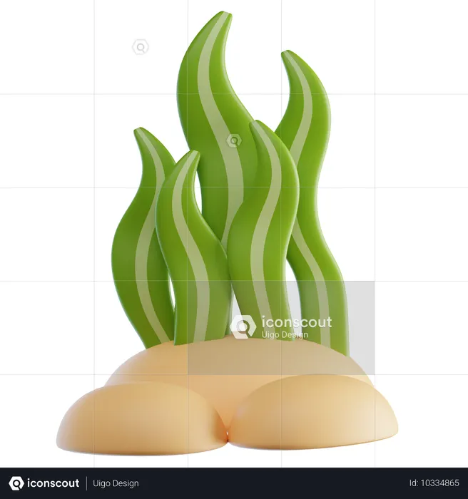 Algas marinhas  3D Icon