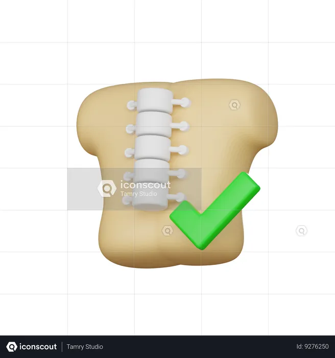 Alinear los huesos  3D Icon