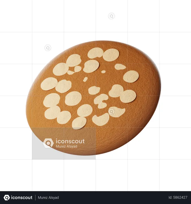 Almond Chocolate Cookies  3D Icon