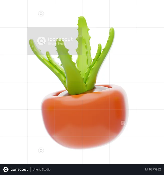 Aloe Vera  3D Icon