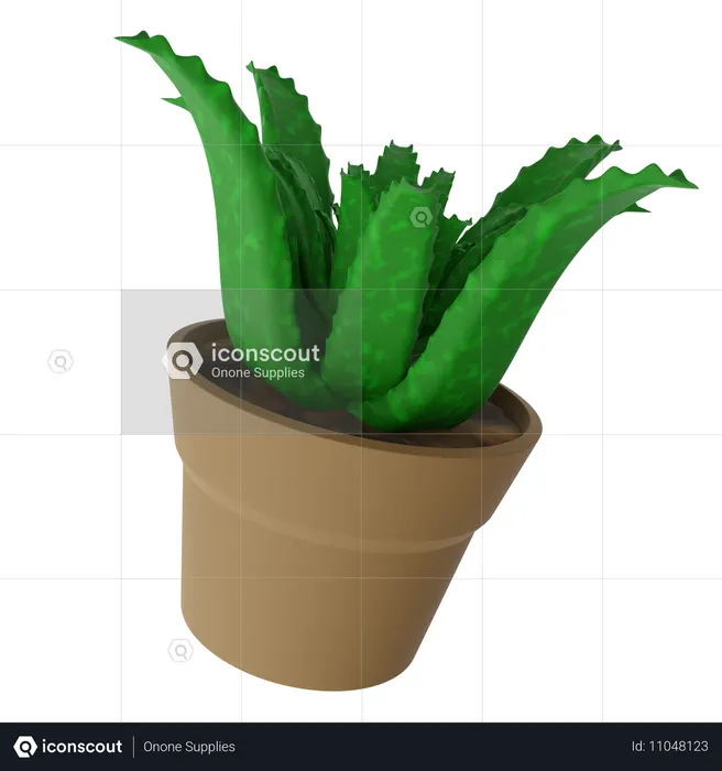 Aloe vera pot  3D Icon