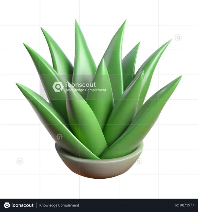 Aloe Vera Plant  3D Icon