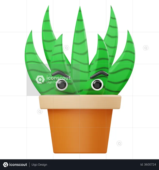 Aloevera Plant  3D Illustration
