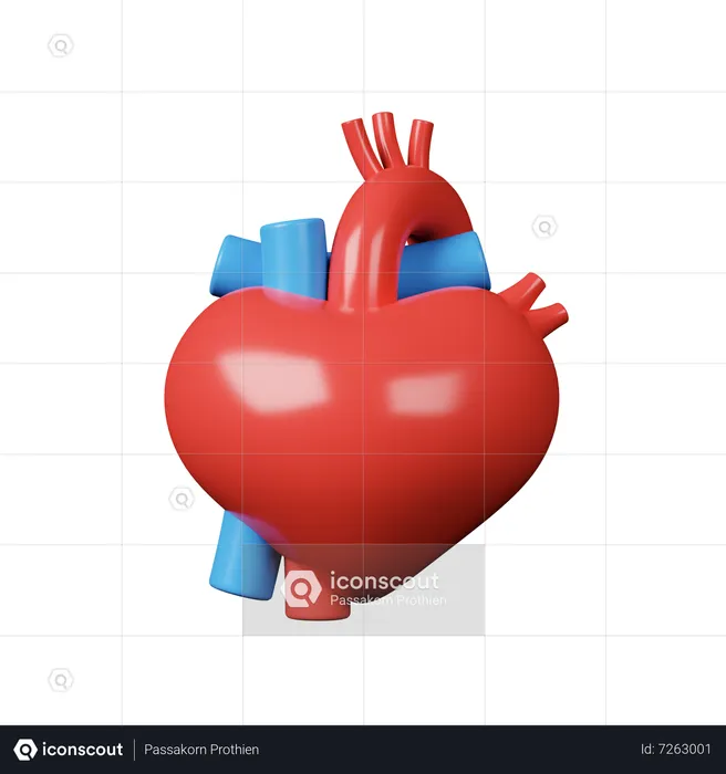 Anatomia  3D Icon