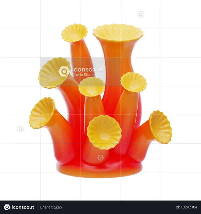 And Flower Coral  3D Icon