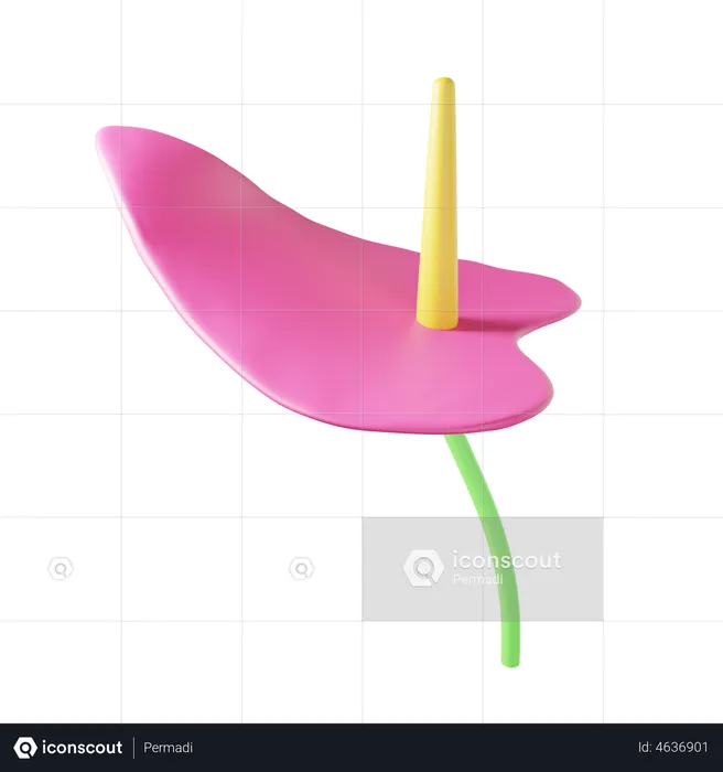 Anthurium  3D Illustration