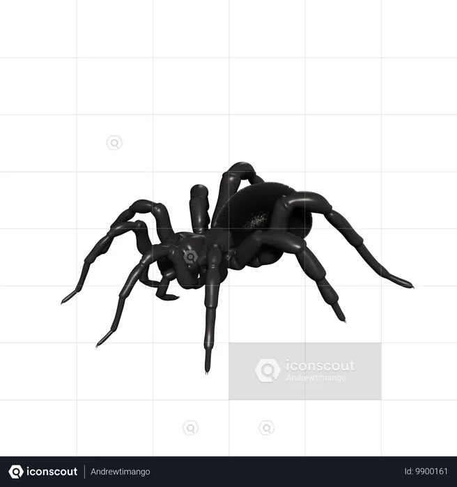 Araña  3D Icon