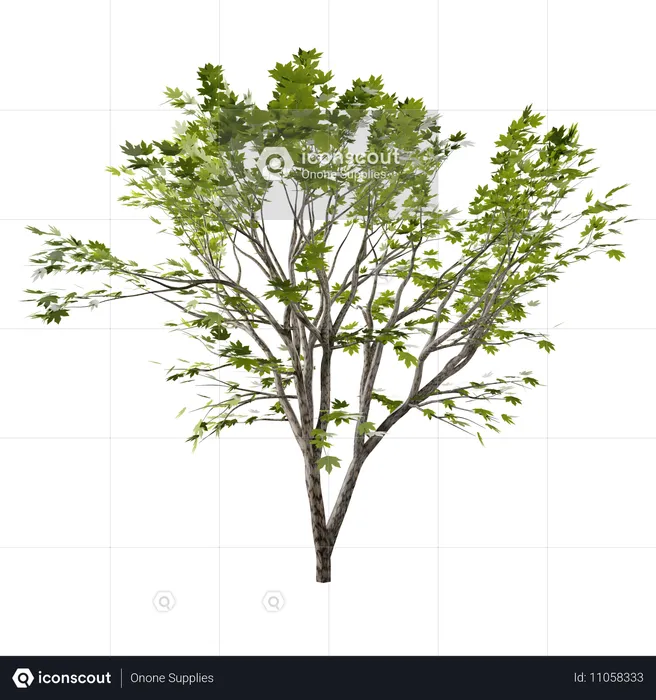 Árbol  3D Icon