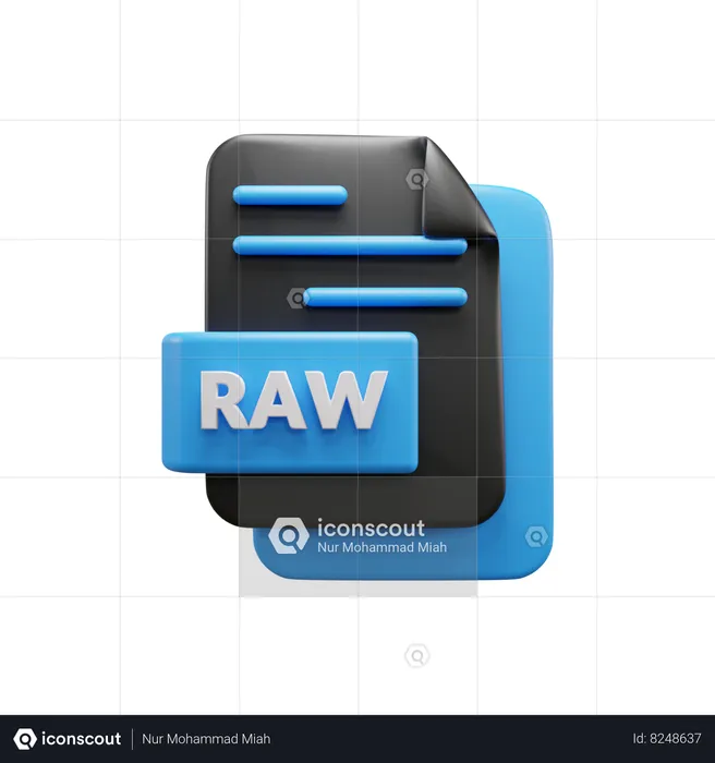 Archivo RAW  3D Icon