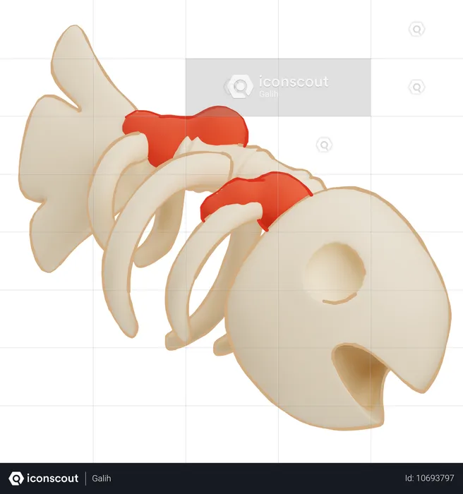 Arête de poisson  3D Icon