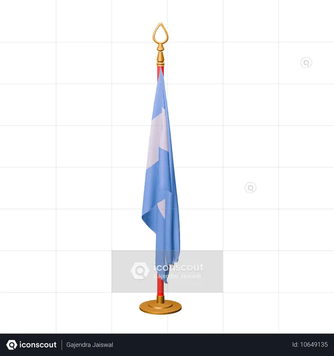 Argentina Flag Flag 3D Icon