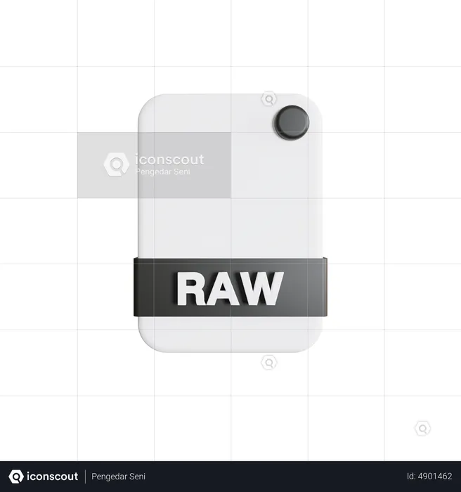 Arquivo RAW  3D Icon