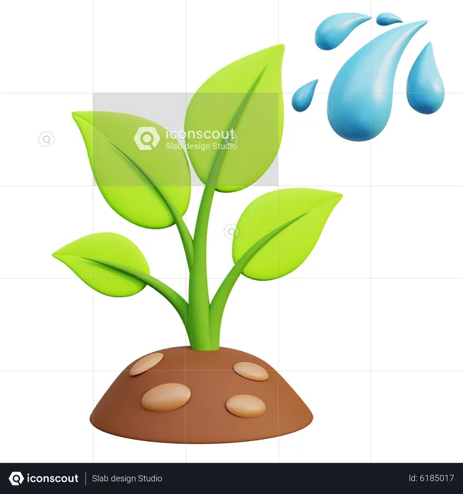 Arrosage des plantes  3D Icon