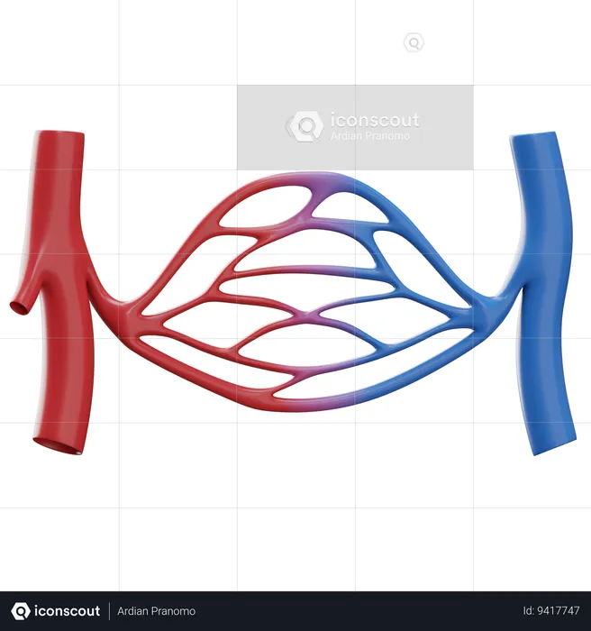 Artery  3D Icon
