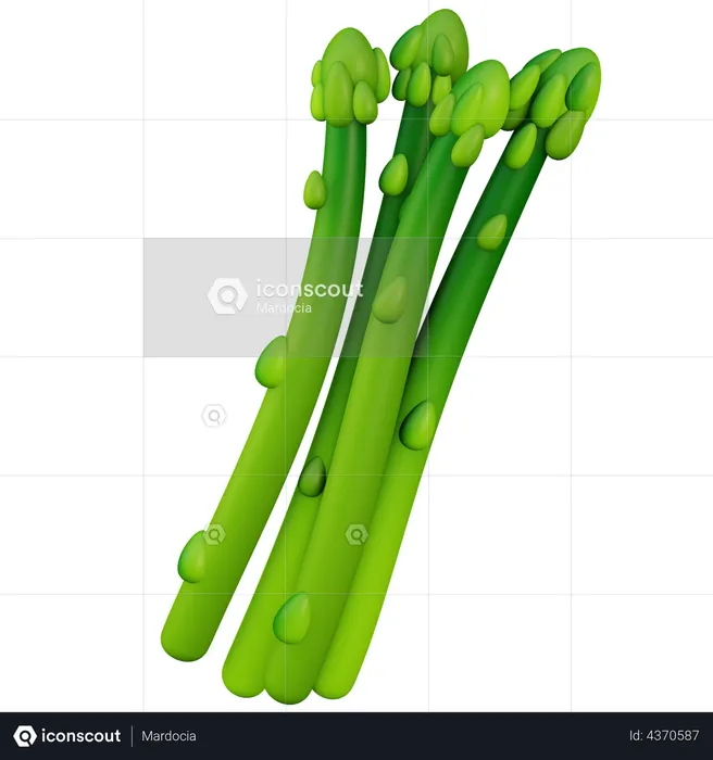 Asparagus  3D Illustration
