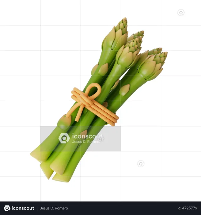 Asparagus  3D Illustration