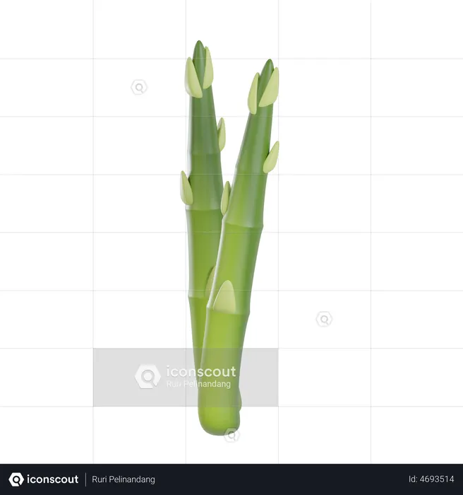 Asparagus  3D Icon