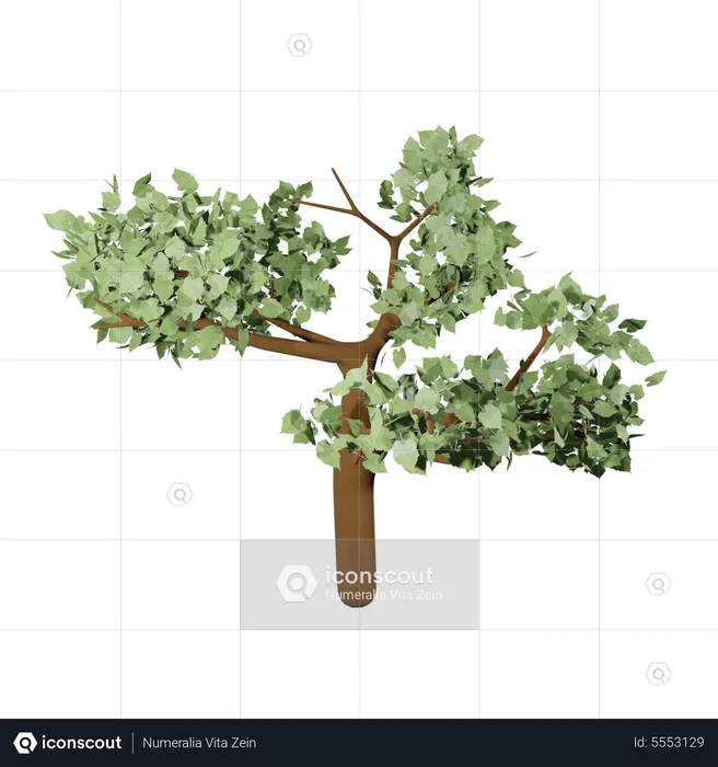 Autum Tree  3D Icon