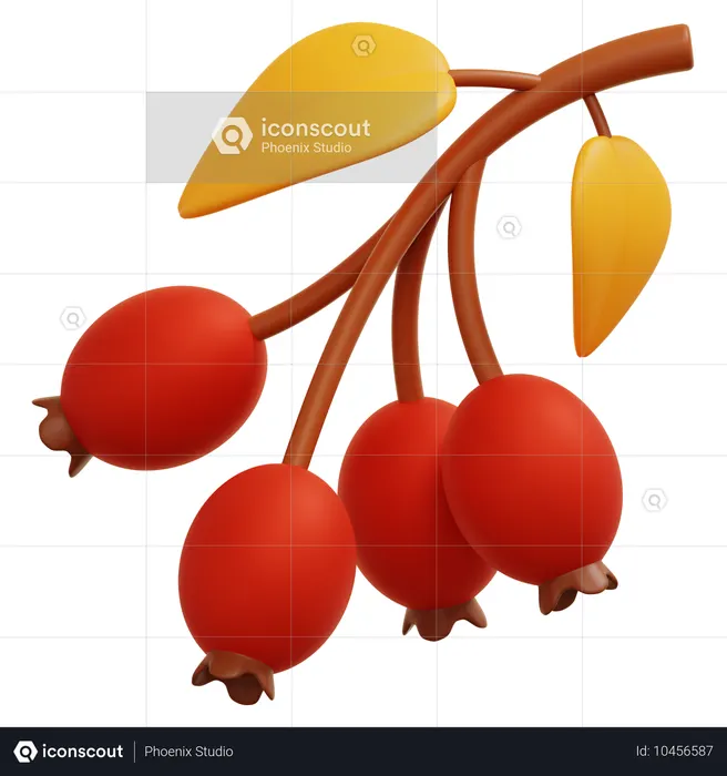 Autumn Berry  3D Icon