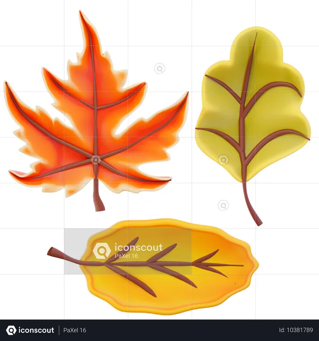 Autumn Leaves  3D Icon