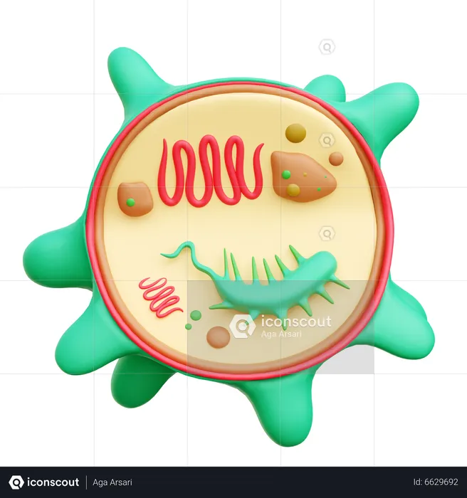 Bacteria  3D Icon