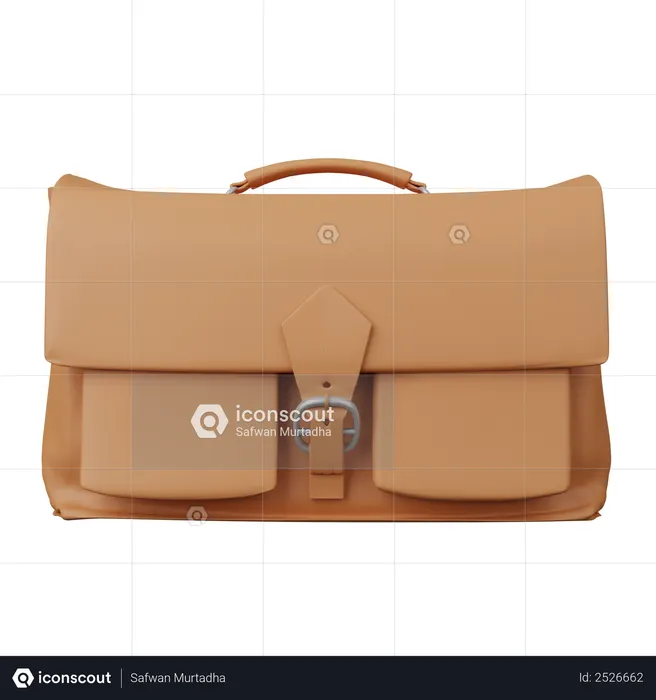 Bag  3D Illustration