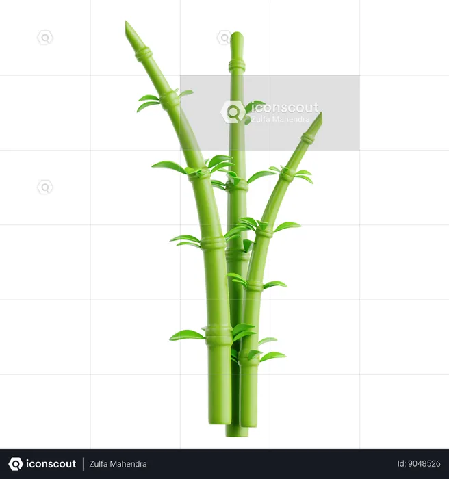 Bamboo  3D Icon
