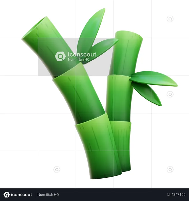 Bamboo  3D Icon