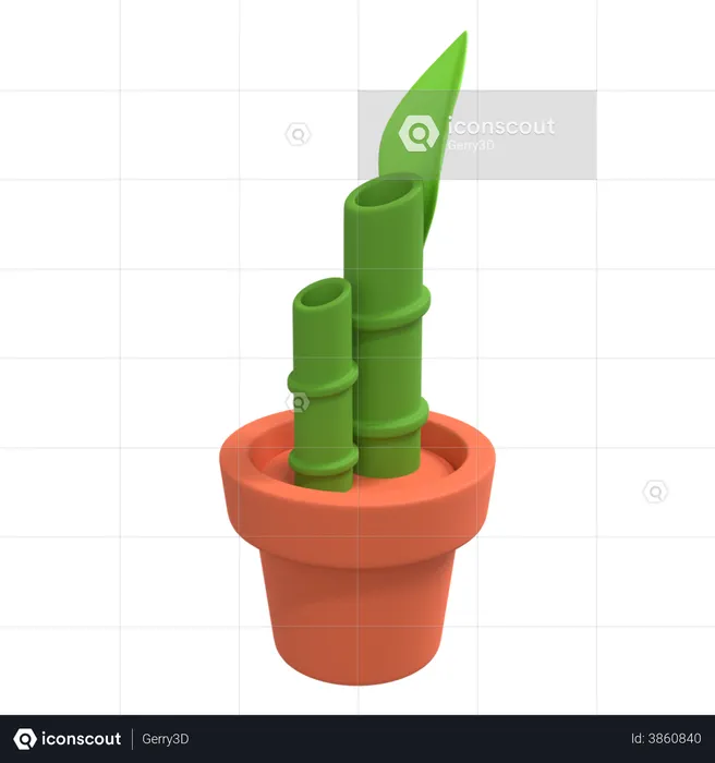 Bamboo Plant  3D Illustration