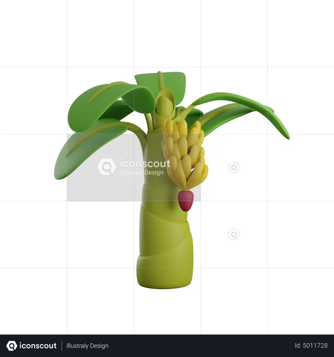 Banana Tree  3D Icon