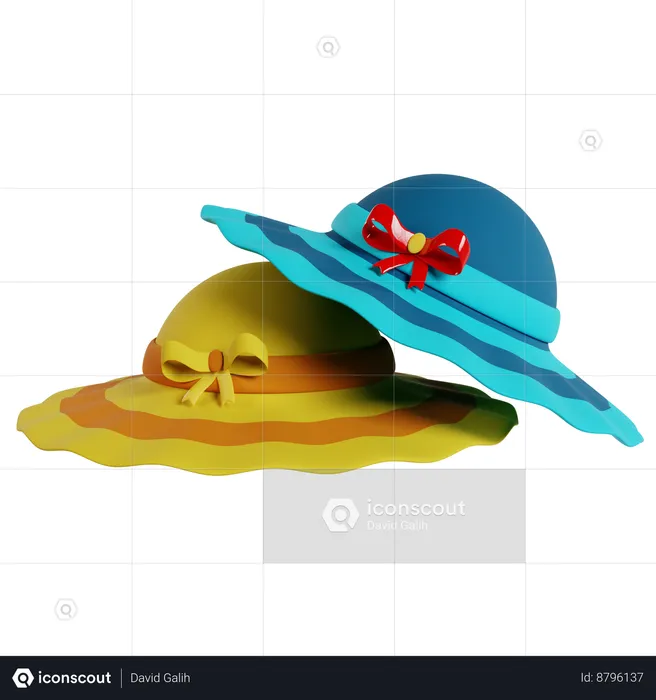 Beach Hats  3D Icon