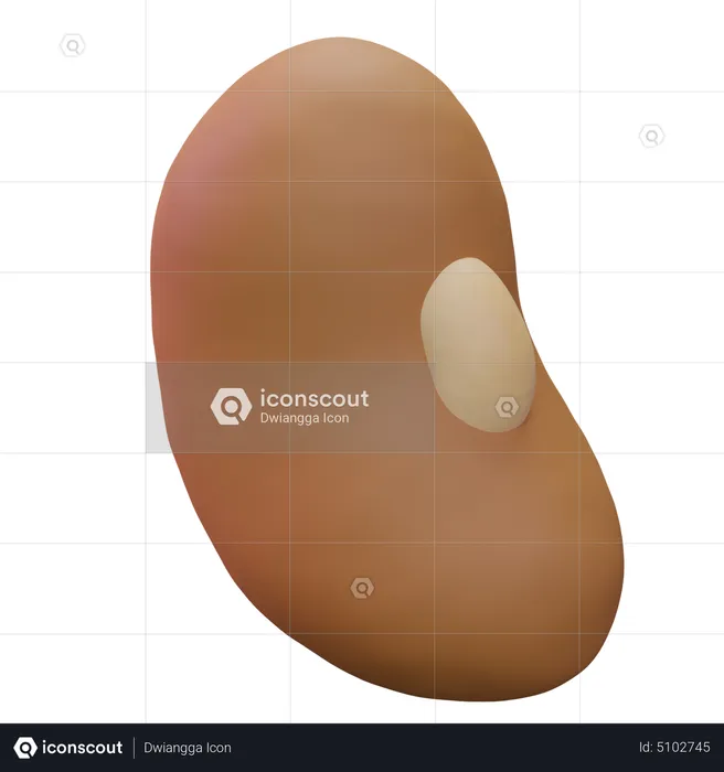 Bean  3D Icon