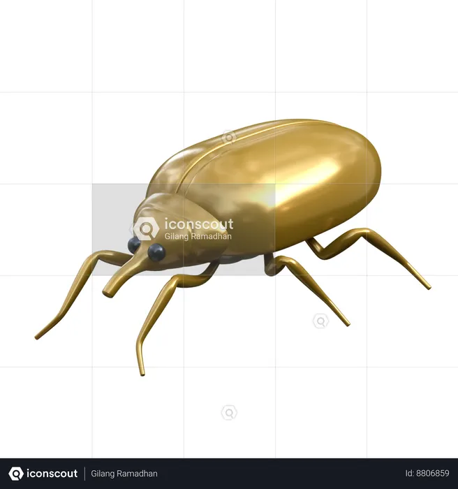 Bean Weevil  3D Icon