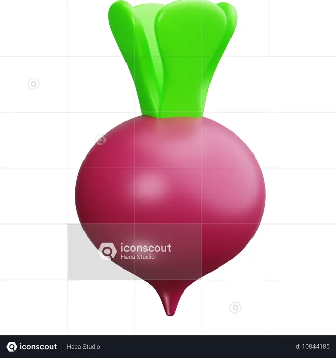 Beet  3D Icon