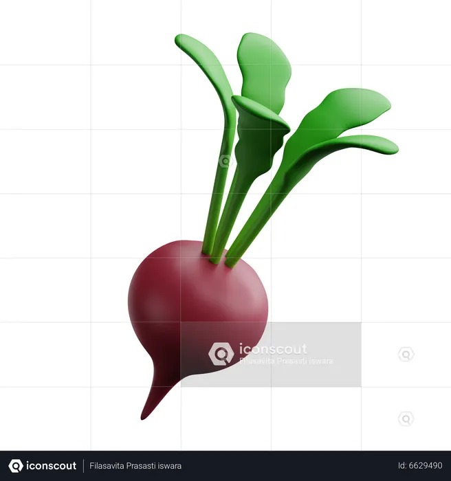 Beet  3D Icon