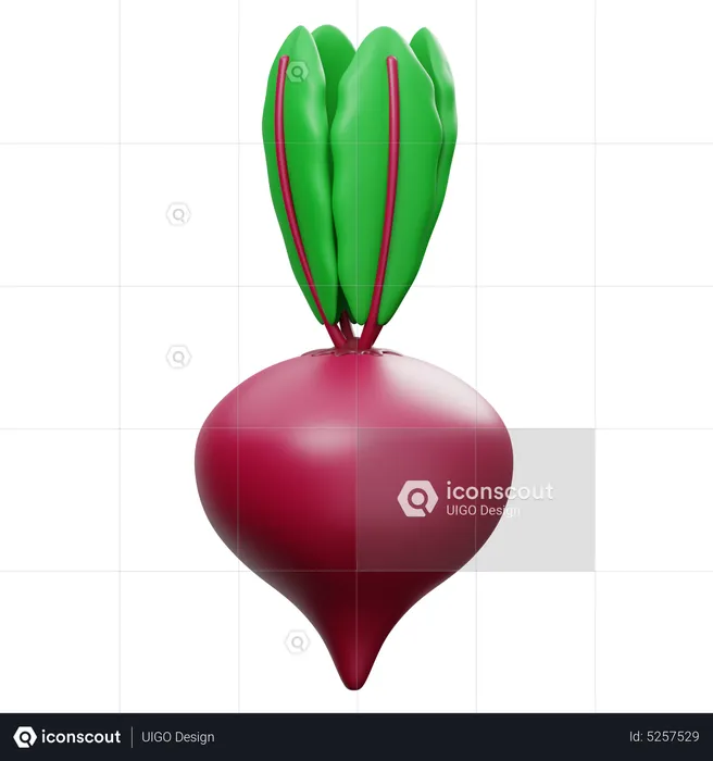 Beet  3D Icon